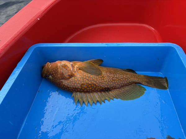 2024年9月26日～28日トレボ釣行（天草沖）