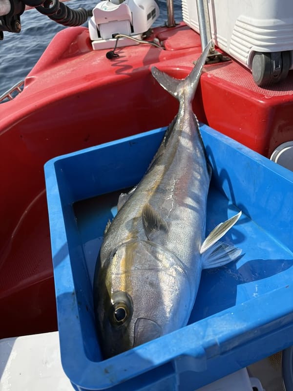 2026年2月12日～14日おかっぱり＆トレーラブルボート（天草）